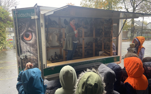 waldschule4.jpg